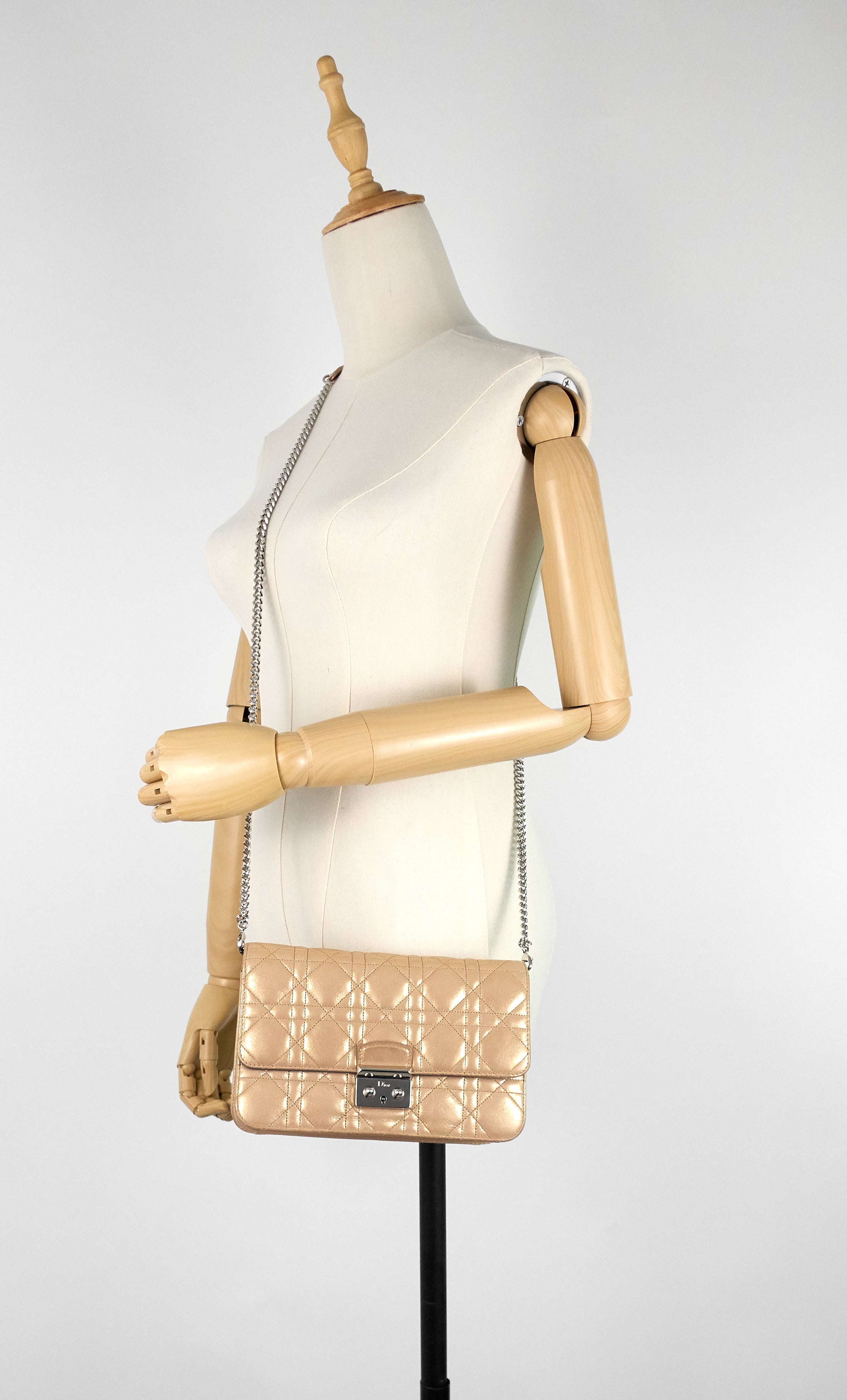 Dior promenade fashion bag