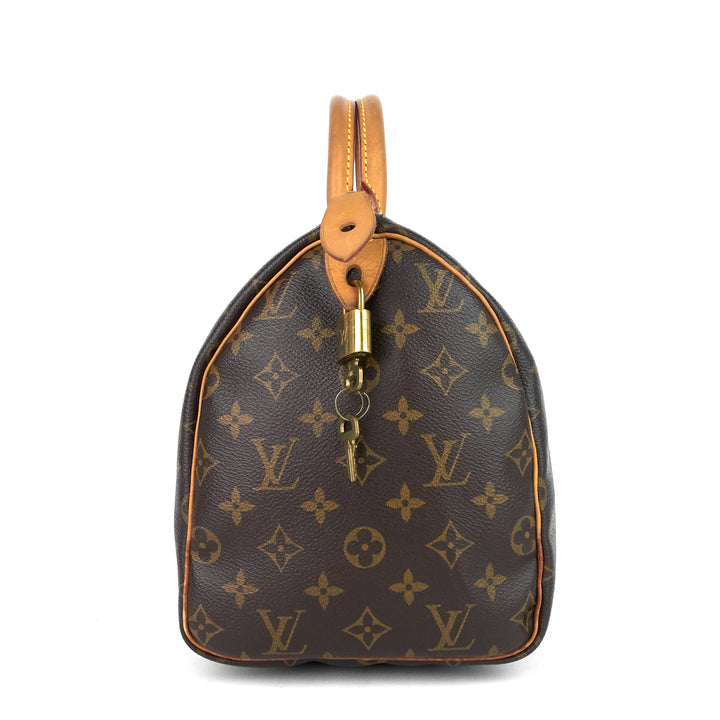 speedy 30 monogram canvas bag