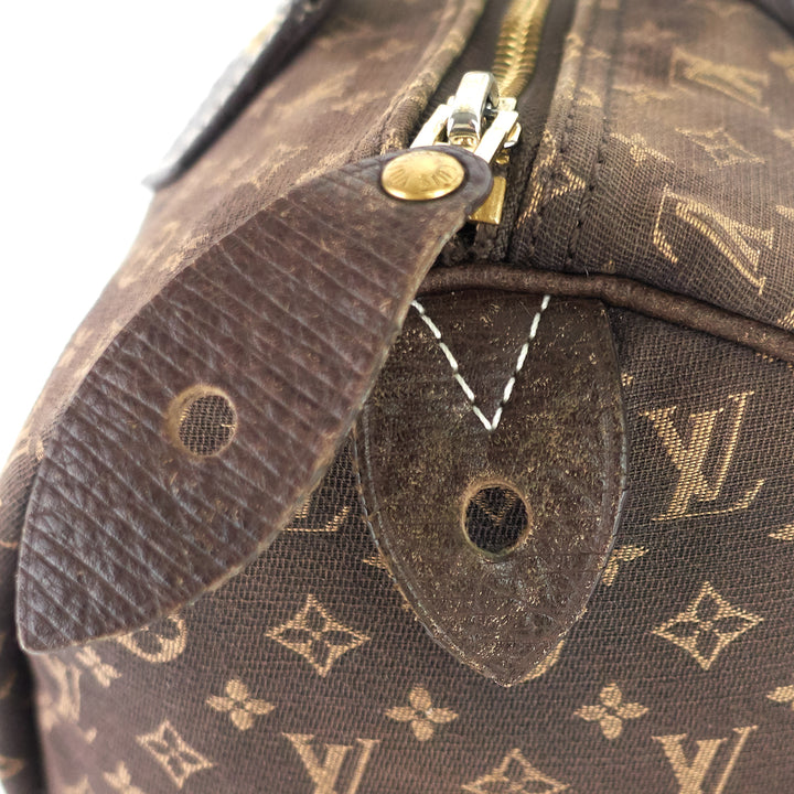 Speedy 30 Monogram Idylle Canvas Bag